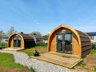 Lavender - Uk41385 - Brixham - 3