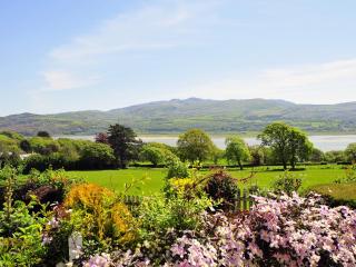 Fron - Cottage - Minffordd - 1