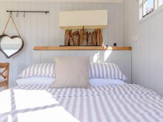 The Hut At Hole Farm - Alderbury - 3