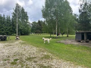 Cozy cabin near Peipsi - 2