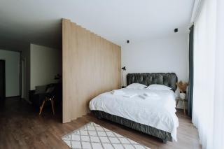 Rîșcani Open-Plan Apartment by the Park - 5