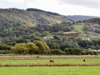 Treetops - Fairbourne - 1