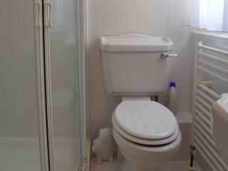 The Old Rectory Lodge - Yaxham - 3