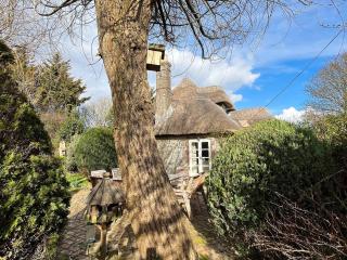Brookpit Cottage - Climping - 1