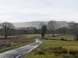 Y Stabl-W43382 - Cilybebyll - 5