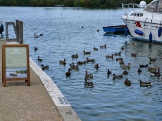 Broad Cottage Boathouse - Ranworth - 1