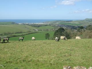 Farthings - 19292 - Bridport - 4