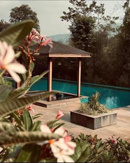 The Postcard Hideaway, Netravali Wildlife Sanctuary, Goa - 3