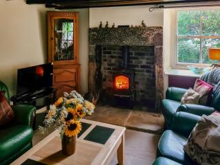 Rock Cottage - Brassington - 7