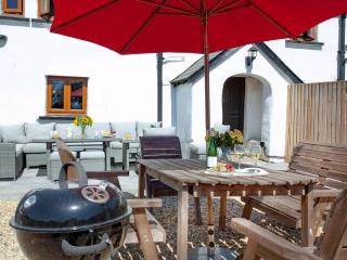 Four Seasons Cottage - Newton Saint Petrock - 5