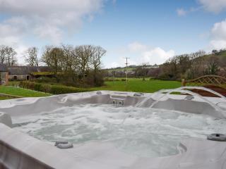 Maesbangor Farmhouse - Capel Bangor - 9