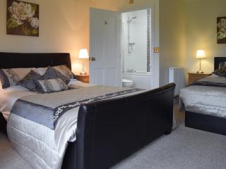 Maesbangor Farmhouse - Capel Bangor - 3