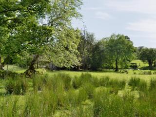 Dol Afon - Hw7588 - Llanuwchllyn - 2