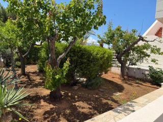 Villa ilporticciolovacanze 22 - 3