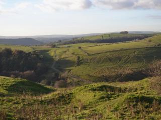 Nutmeg Cottage - Tideswell - 1