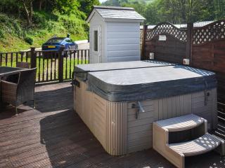 Holly Lodge - Ilfracombe - 2