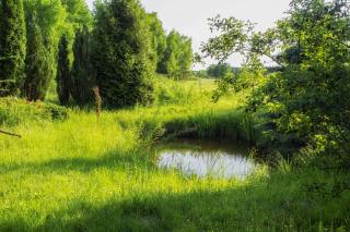 Łosiedlisko - - 9