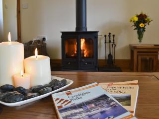 Eithinog - Talybont - 6