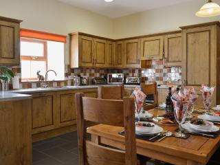 Eithinog - Talybont - 5