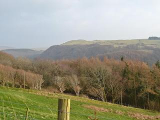 Eithinog - Talybont - 4