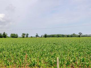 Cosyleigh - Stalham - 3