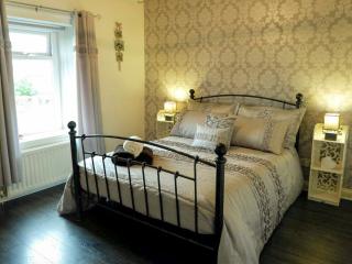 Wild Duck - Pennington - 2