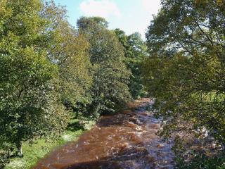 Glenrothay - Aviemore - 1