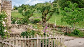 Pickett Cottage - - 7