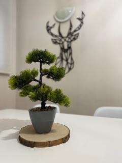 Apartamento céntrico con garaje - 4