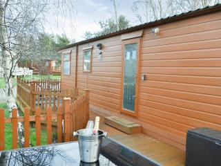 Yolo Retreat - Felton - 3