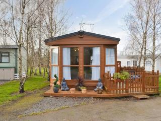 Yolo Retreat - Felton - 1