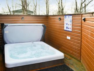 Yolo Retreat - Felton - 9