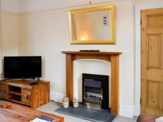 Zonnebloem - Cefn-y-bedd - 7