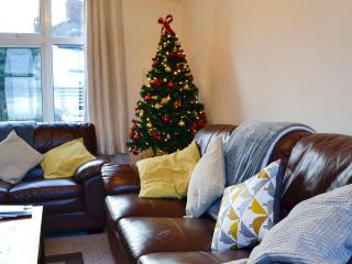 Zonnebloem - Cefn-y-bedd - 3