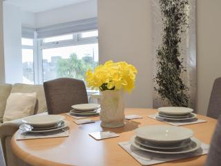 Princess Court Apartment - Llanelli - 1