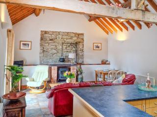 Y Dderwen At Brynglas Farm - Llanfair Caereinion - 9