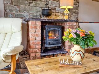Y Dderwen At Brynglas Farm - Llanfair Caereinion - 7
