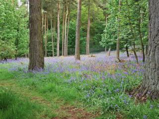 High Moor Cottage - Dufton - 2
