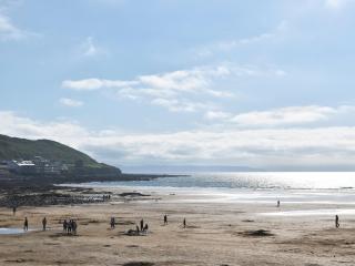 Black Sea Horse - Westward Ho - 4