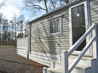 Delta Saffron - Banchory - 1