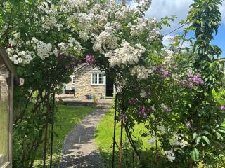 Dovehayes Cottage - Gillingham - 9