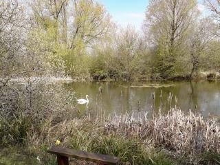 Herons Nest - Bourton on the Water - 1