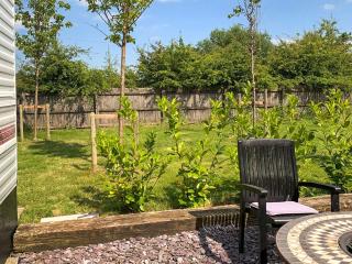 Goldfinch - Uk48551 - Colchester - 2