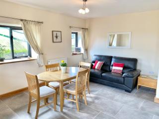 Red Kite Cottage - Llangunllo - 9