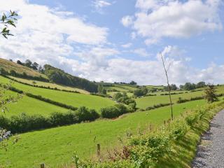 Red Kite Cottage - Llangunllo - 4