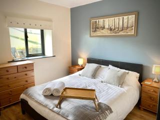 Red Kite Cottage - Llangunllo - 2