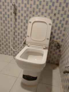 Hotel Maharaja Palace - Bhagalpur - 1