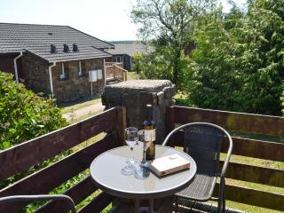 Pleasant Spot Lodge - Woolfardisworthy - 9