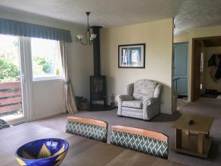 Pleasant Spot Lodge - Woolfardisworthy - 7