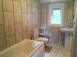 Pleasant Spot Lodge - Woolfardisworthy - 2
